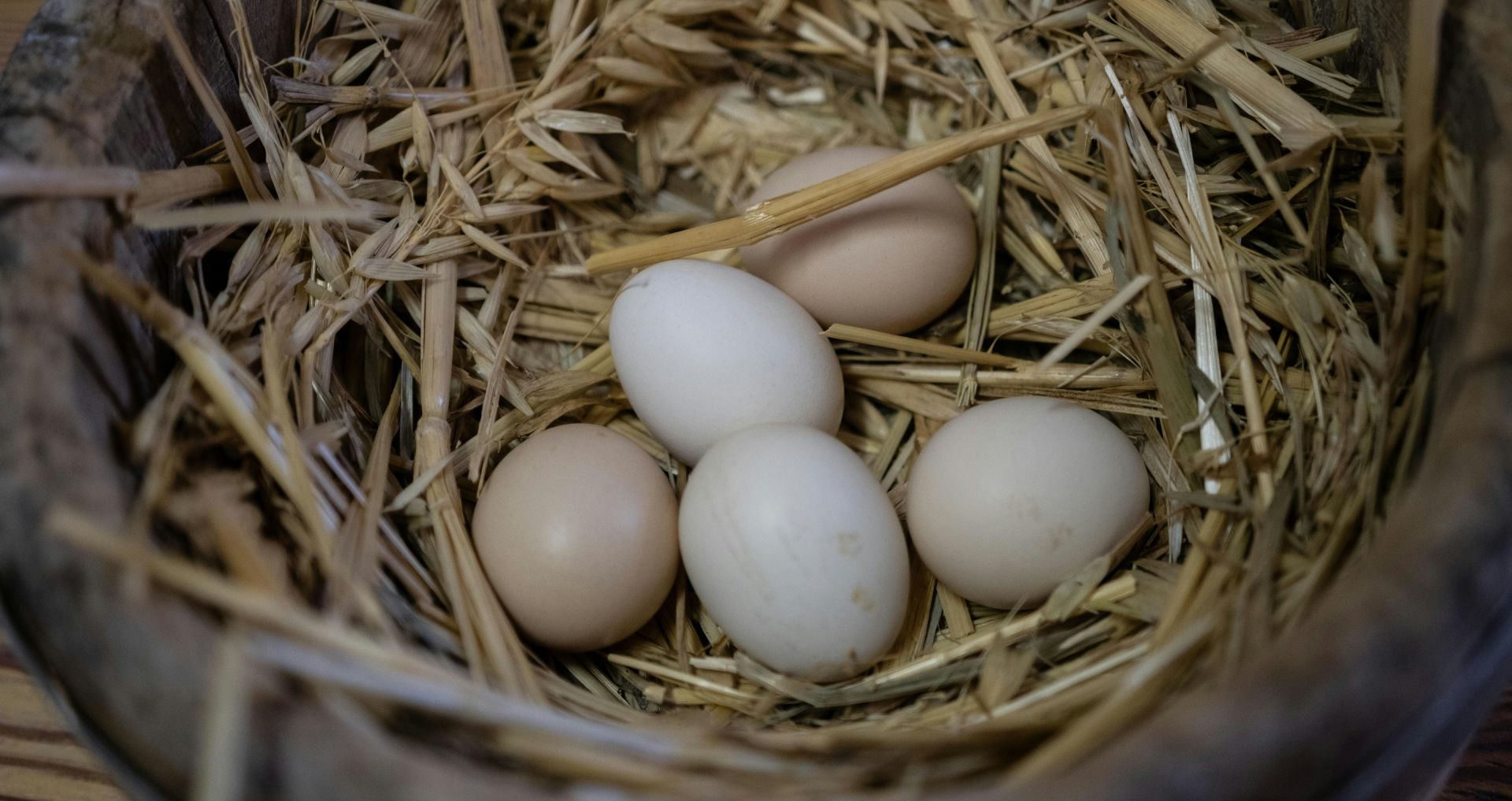 Kippeneieren in een legnest met stro, geschikt om verschillen in eierschaal en mogelijke oorzaken van dunne eierschalen te illustreren