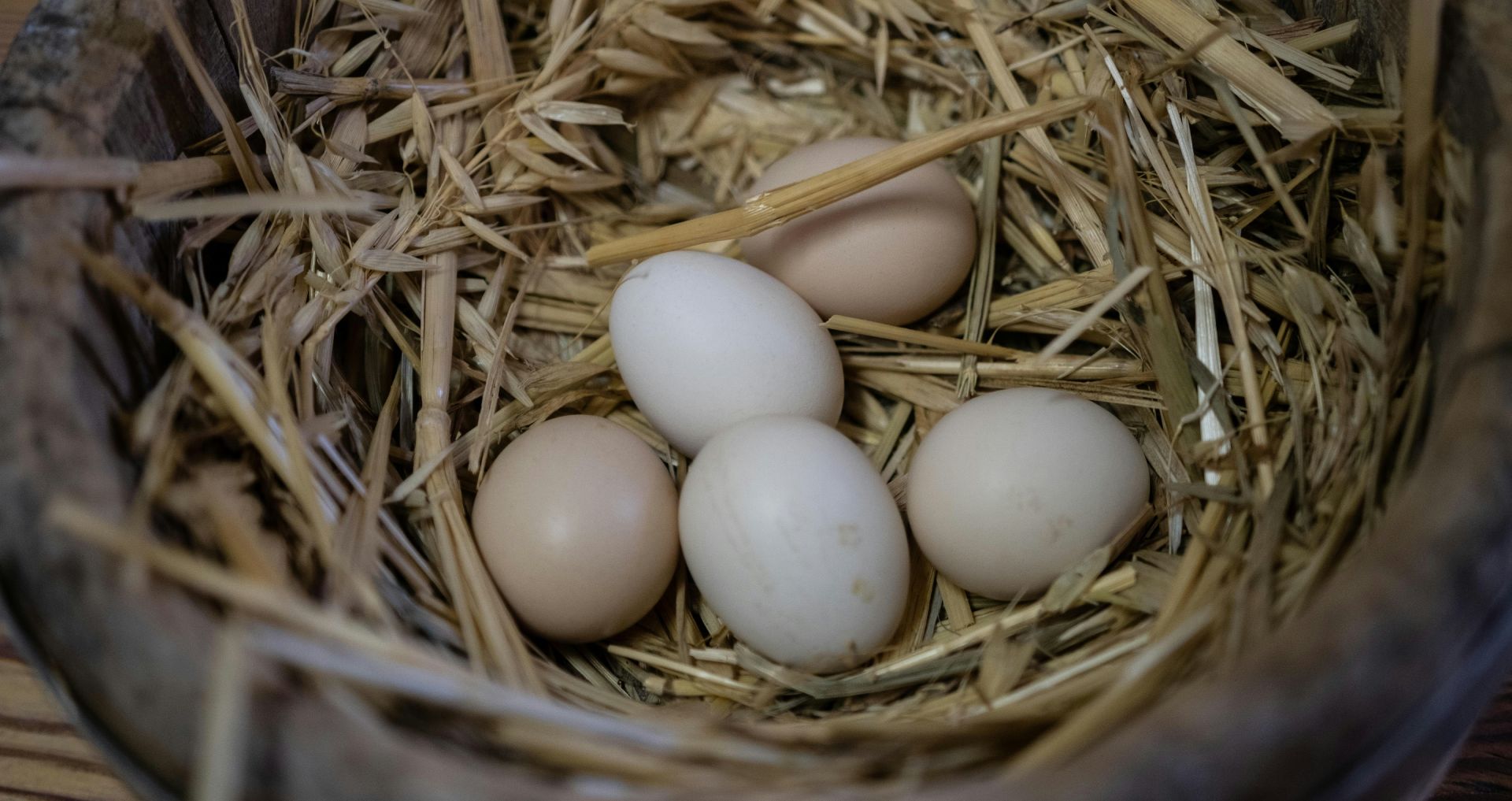 Verse kippeneieren in een legnest met stro, passend bij het thema eieren leggen bij kippen